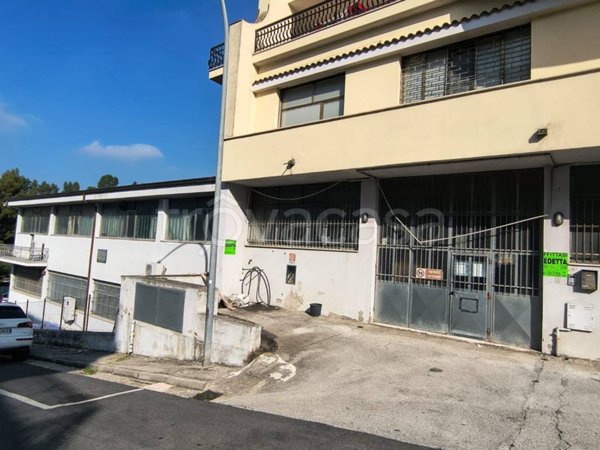 negozio in affitto a Montegranaro
