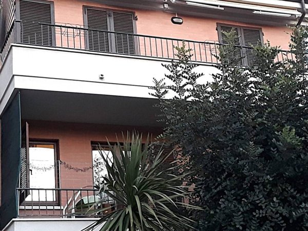 appartamento in affitto a Porto San Giorgio