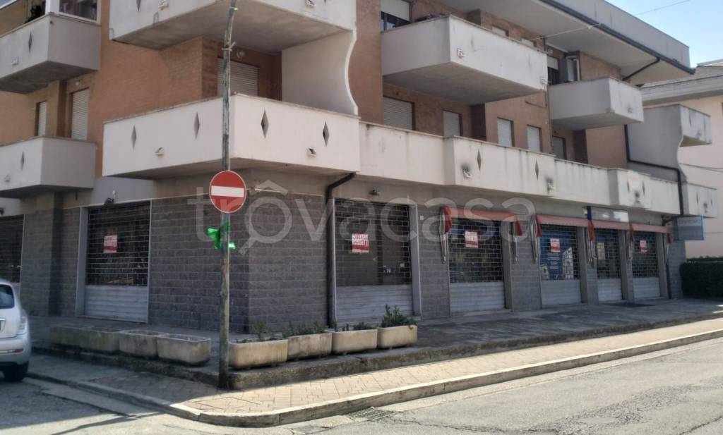 appartamento in affitto a Porto Sant'Elpidio