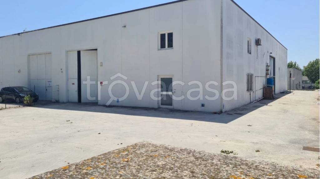 appartamento in affitto a Porto Sant'Elpidio