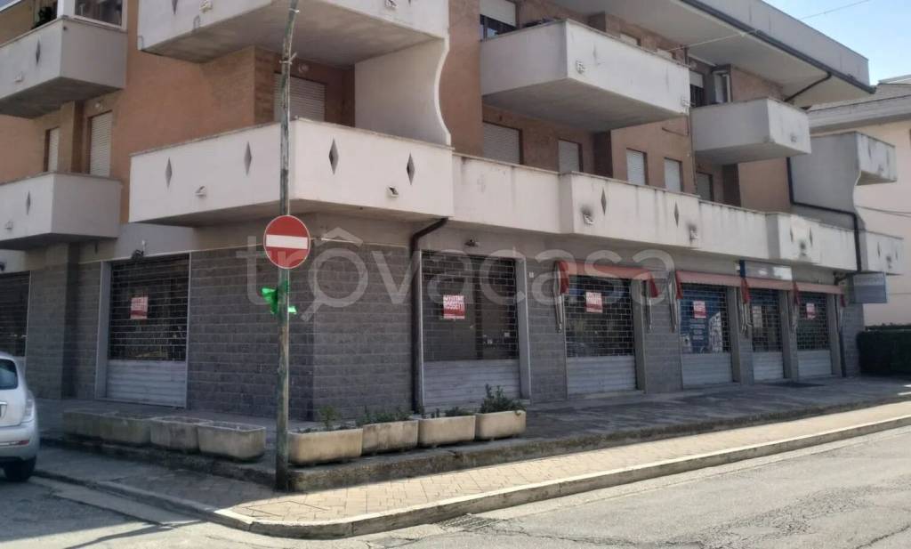 negozio in affitto a Porto Sant'Elpidio