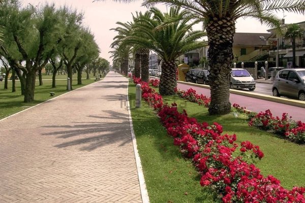 appartamento in affitto a Porto Sant'Elpidio