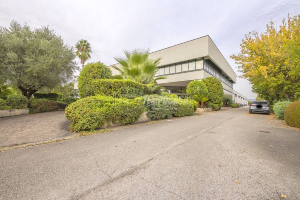 locale commerciale in affitto a Sant'Elpidio a Mare in zona Luce