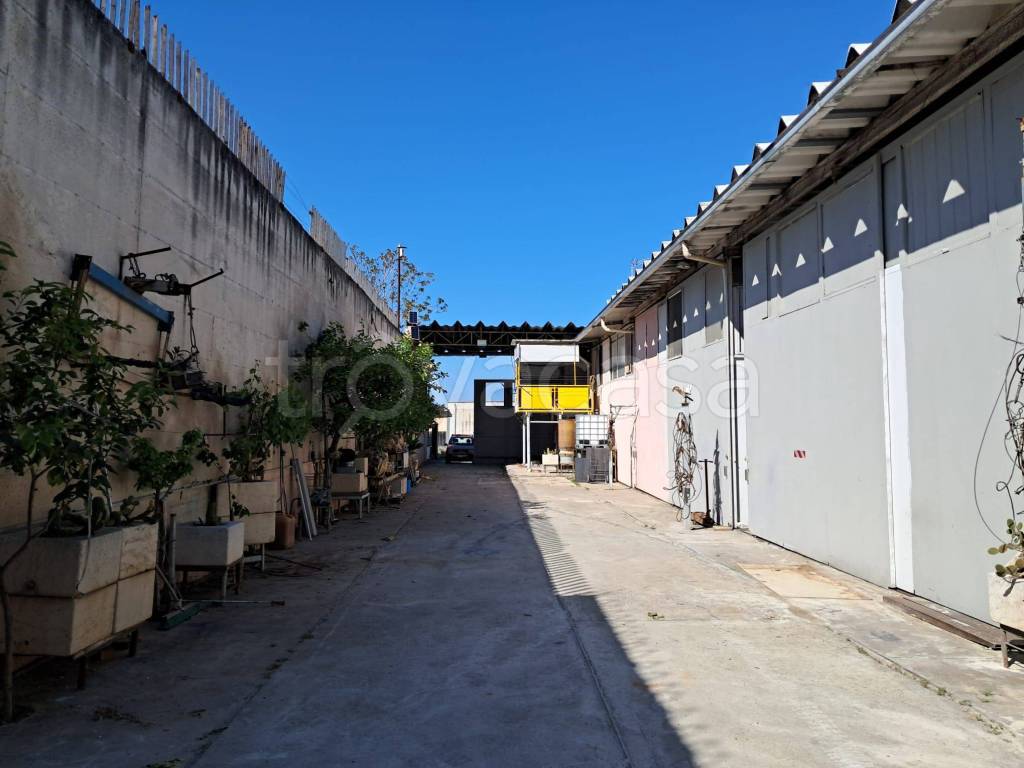 locale commerciale in affitto ad Andria