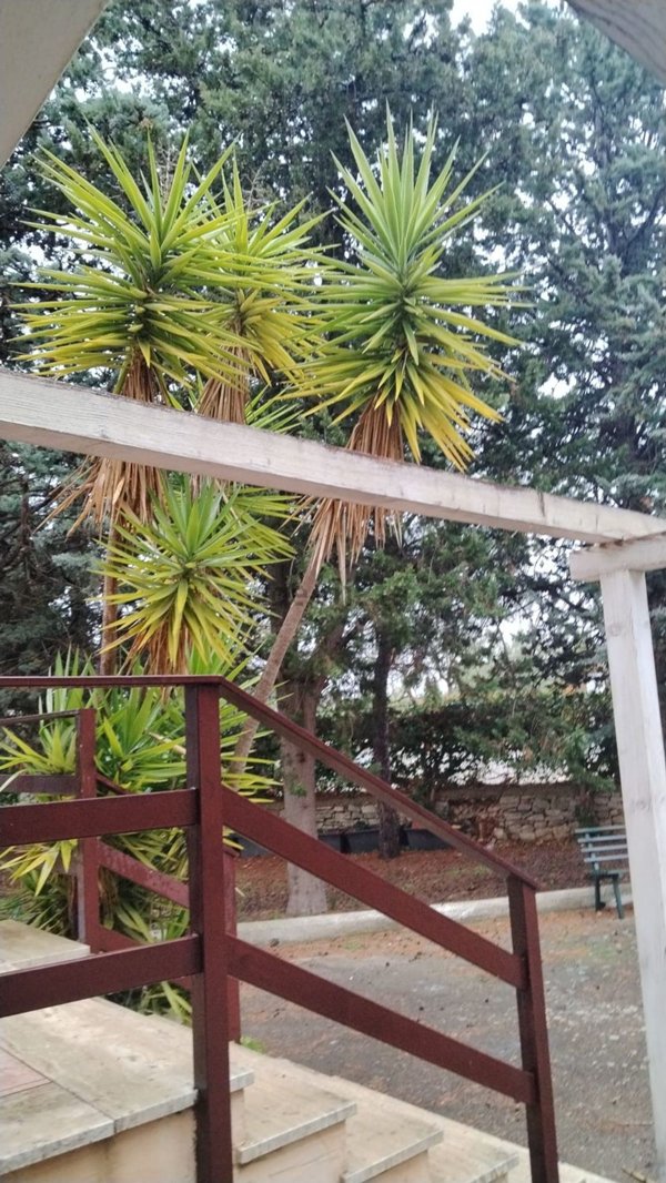 casa indipendente in affitto ad Andria in zona Castel del Monte