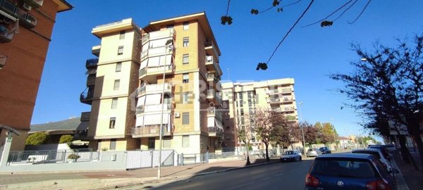 appartamento in affitto ad Andria