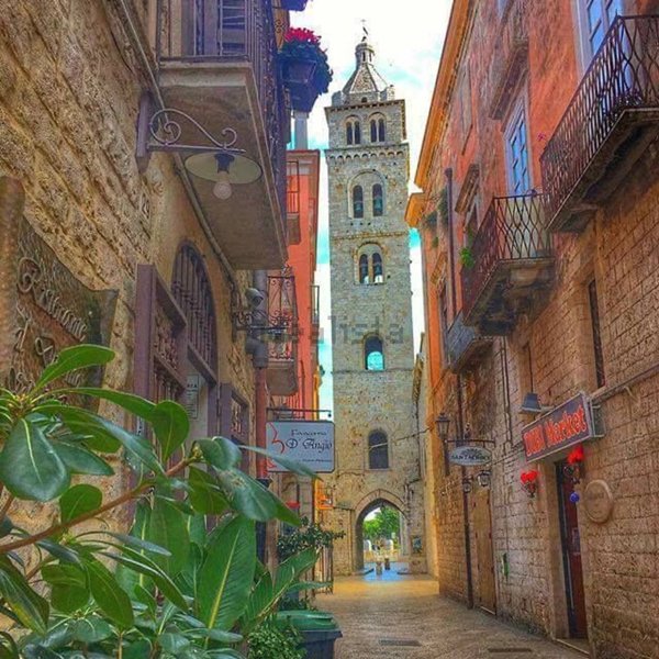 appartamento in affitto a Barletta