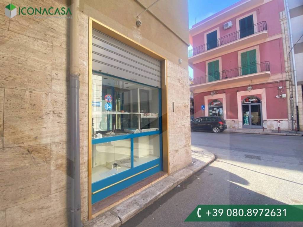 monolocale in affitto a Bisceglie