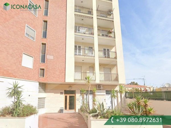 monolocale in affitto a Bisceglie