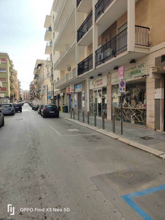monolocale in affitto a Bisceglie in zona Centro Città