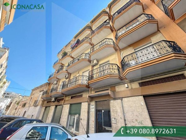 appartamento in affitto a Bisceglie