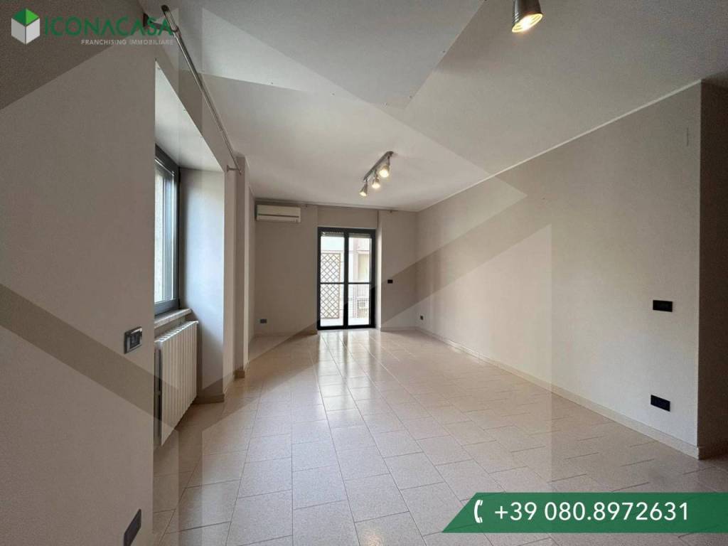 appartamento in affitto a Bisceglie