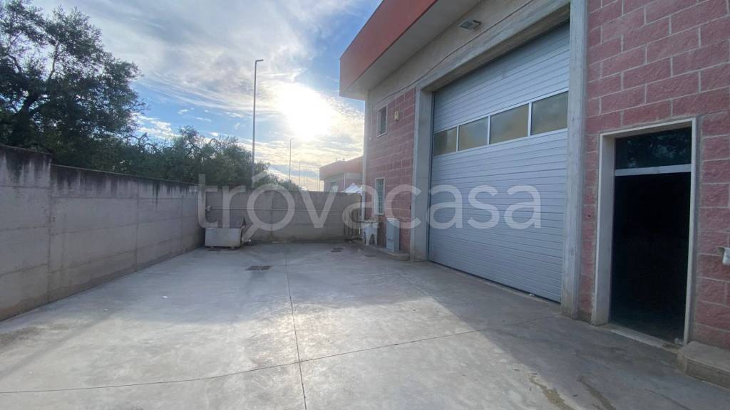appartamento in affitto a Bisceglie