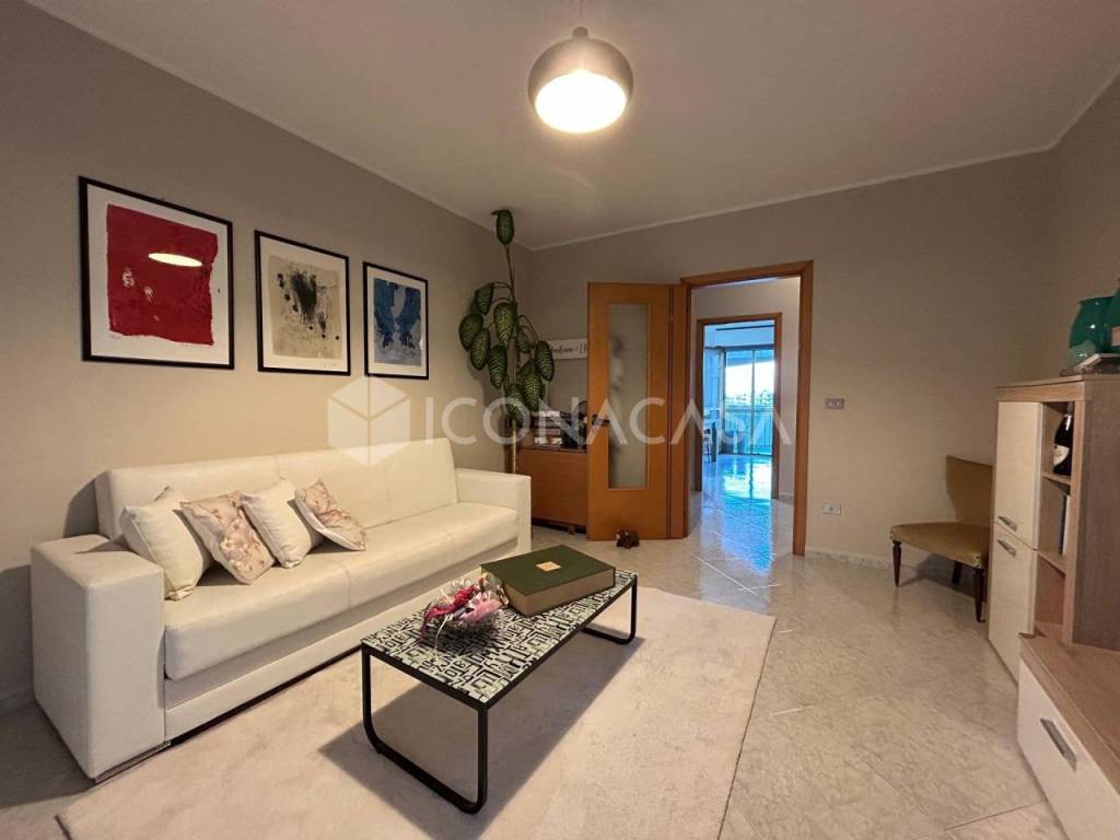 appartamento in affitto a Bisceglie