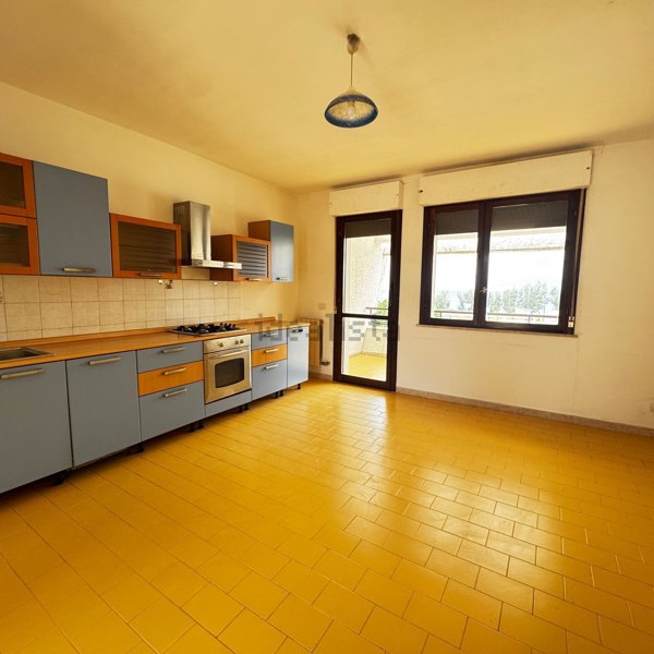 appartamento in affitto a Bisceglie