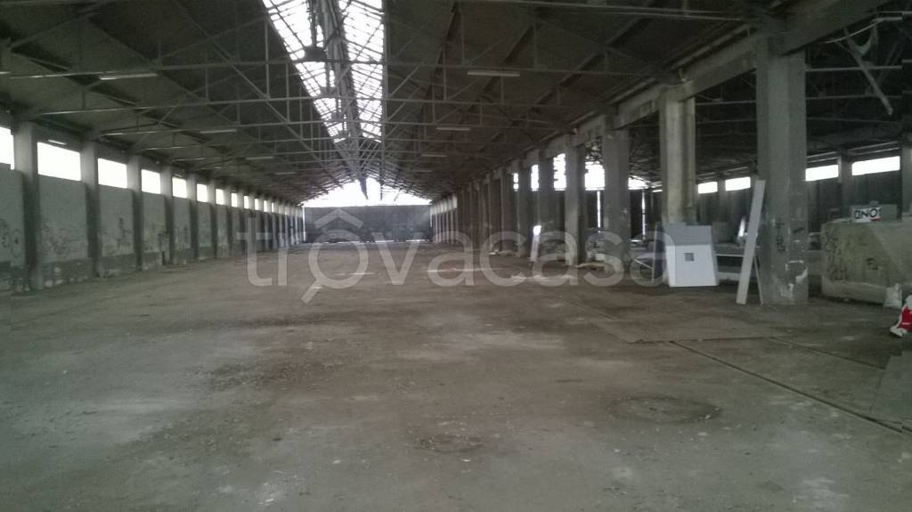 locale commerciale in affitto a Bisceglie