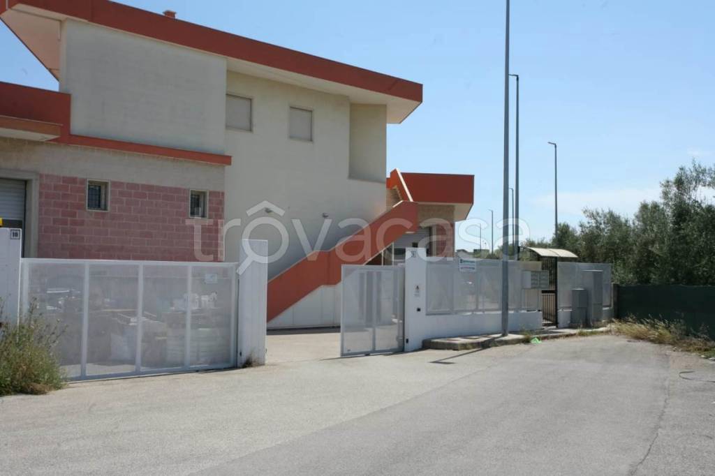 ufficio in affitto a Bisceglie