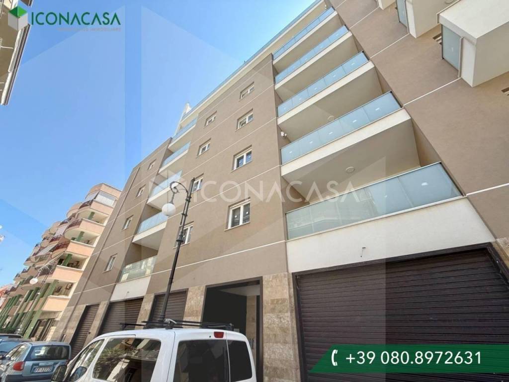 appartamento in affitto a Bisceglie