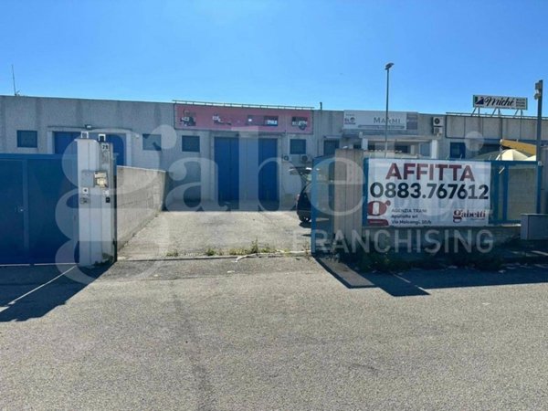 appartamento in affitto a Bisceglie