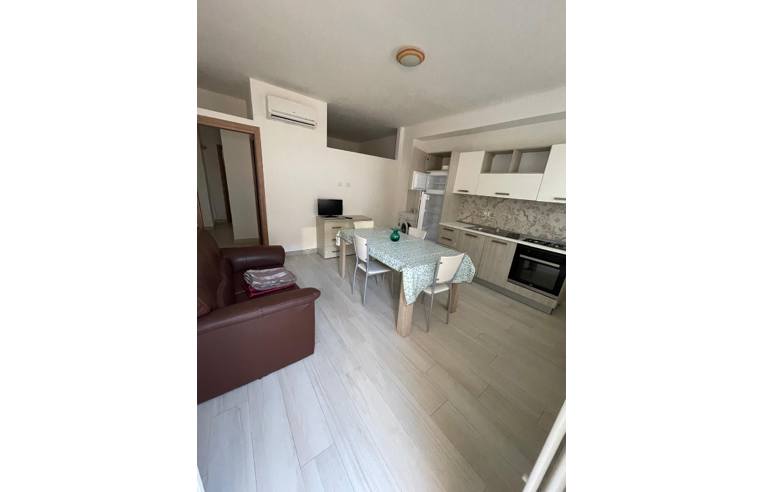 appartamento in affitto a Bisceglie