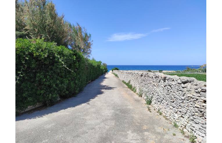 casa indipendente in affitto a Bisceglie