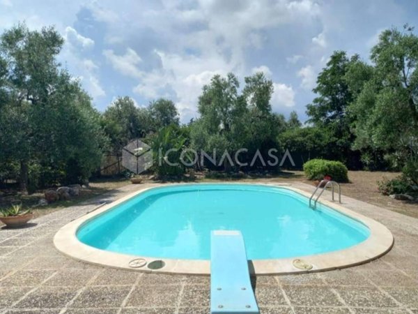 casa indipendente in affitto a Bisceglie