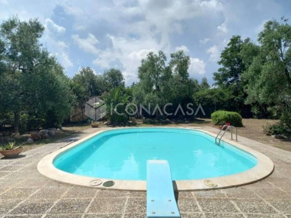 casa indipendente in affitto a Bisceglie