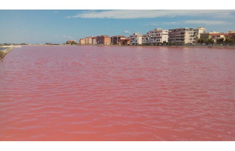 appartamento in affitto a Margherita di Savoia