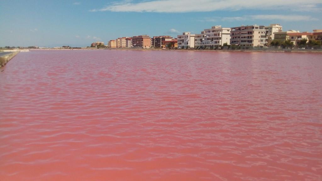 appartamento in affitto a Margherita di Savoia