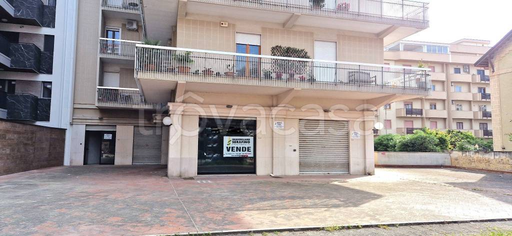 negozio in affitto a Trani in zona Borgo Medievale