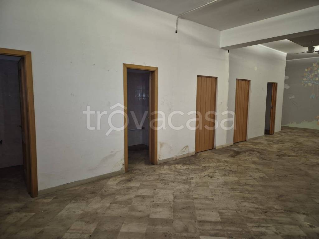 trivano in affitto a Trani