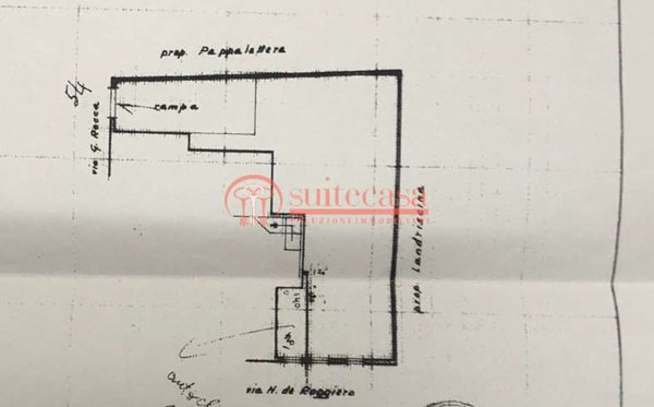 negozio in affitto a Trani in zona Borgo Ottocentesco