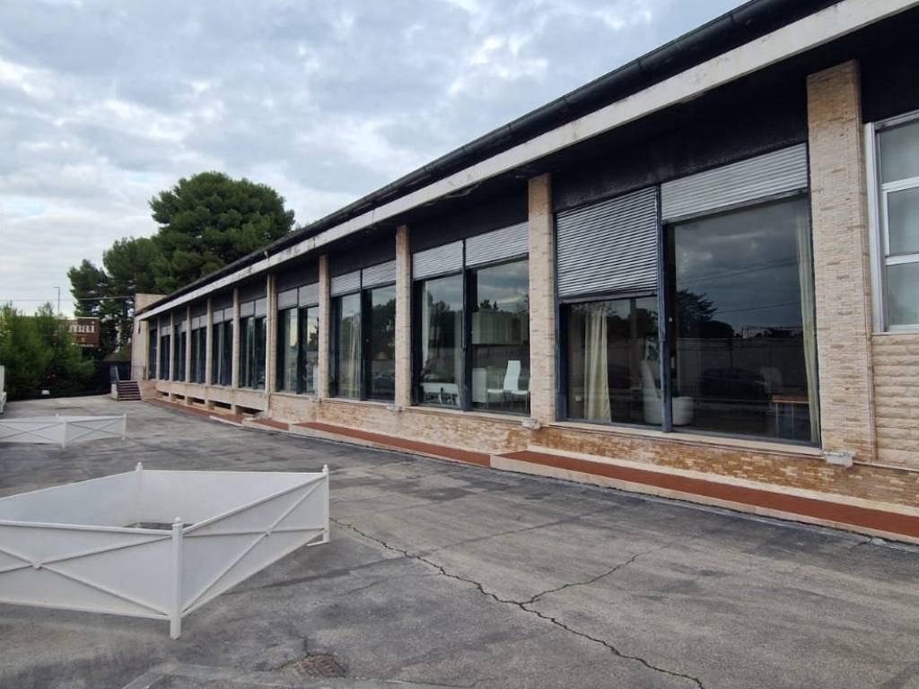 negozio in affitto a Trani in zona Borgo Medievale