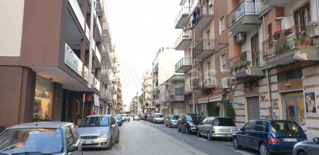 appartamento in affitto a Trani