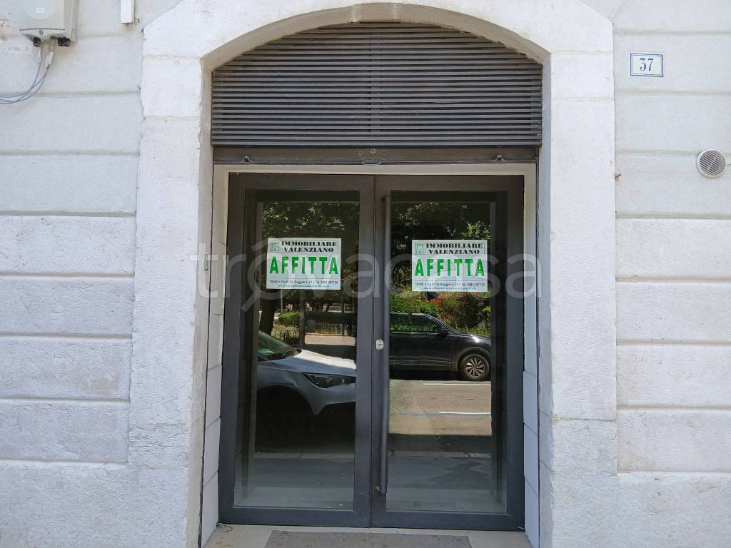 negozio in affitto a Trani