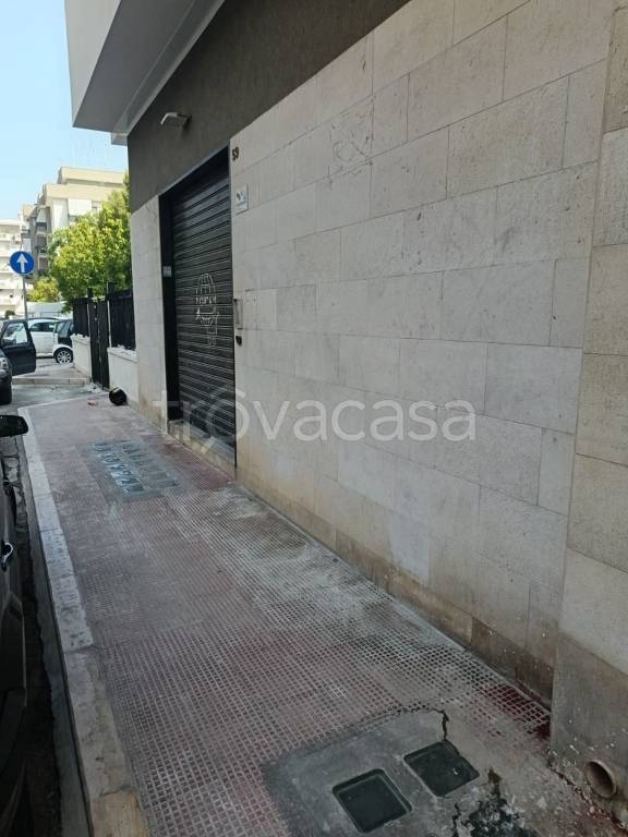 trivano in affitto a Trani