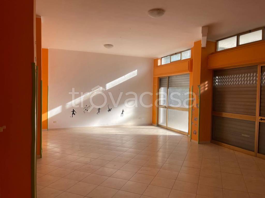 negozio in affitto a Trani