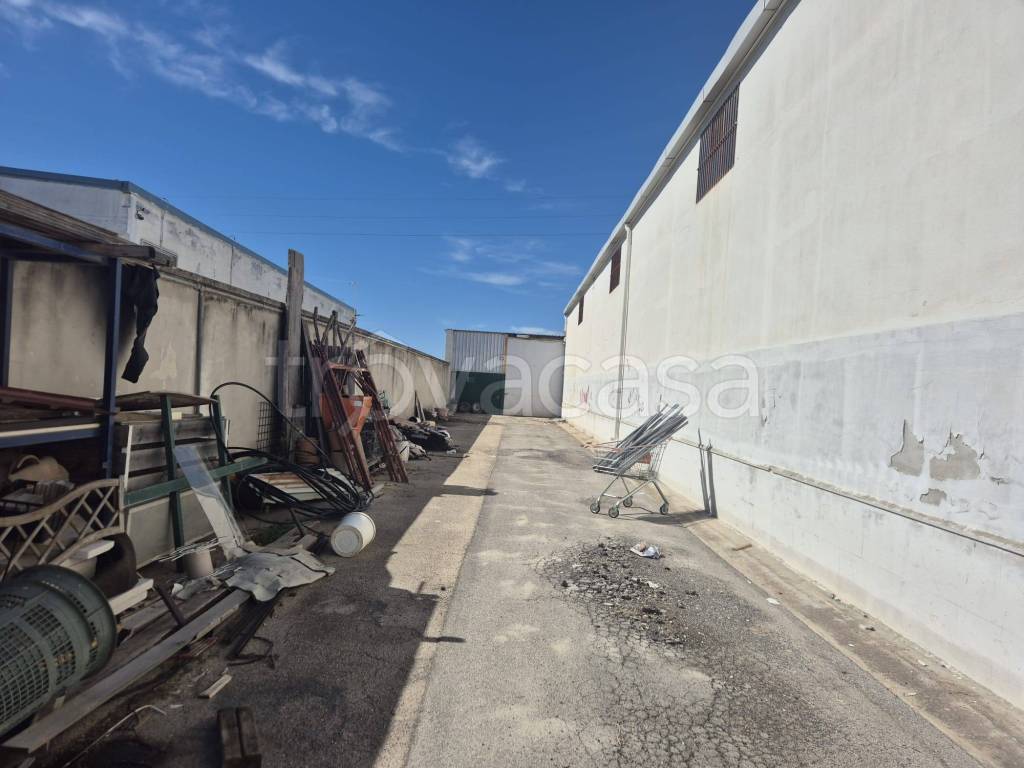 locale commerciale in affitto a Trani