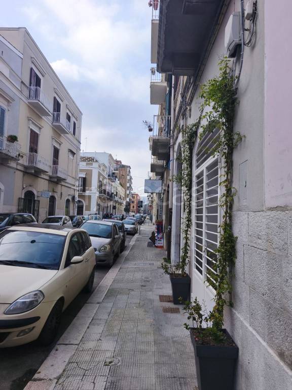 appartamento in affitto a Trani in zona Borgo Ottocentesco