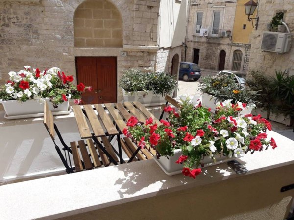appartamento in affitto a Trani in zona Borgo Medievale