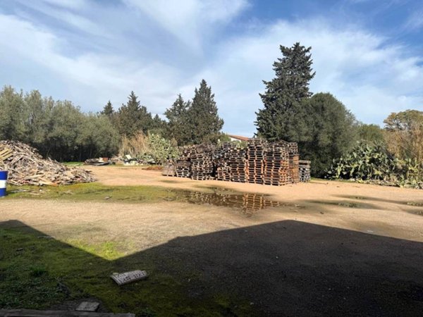 terreno agricolo in affitto a San Sperate