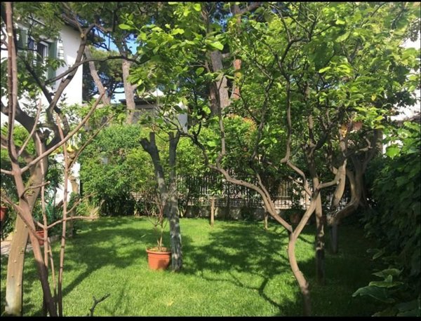 appartamento in affitto a Bordighera