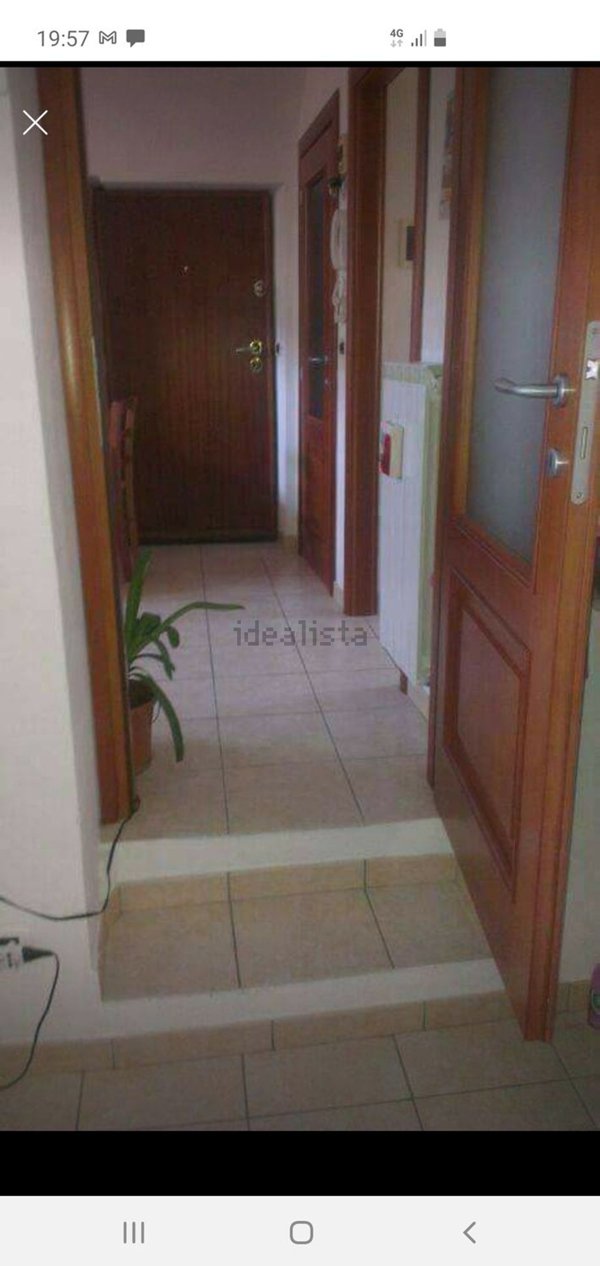 appartamento in affitto a Camporosso