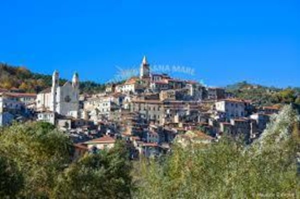 terreno agricolo in affitto a Ceriana