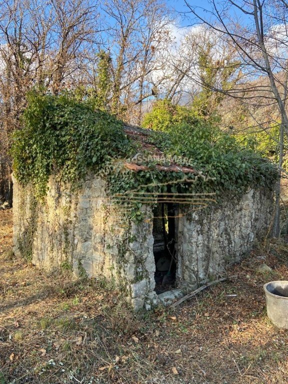 terreno agricolo in affitto a Ceriana