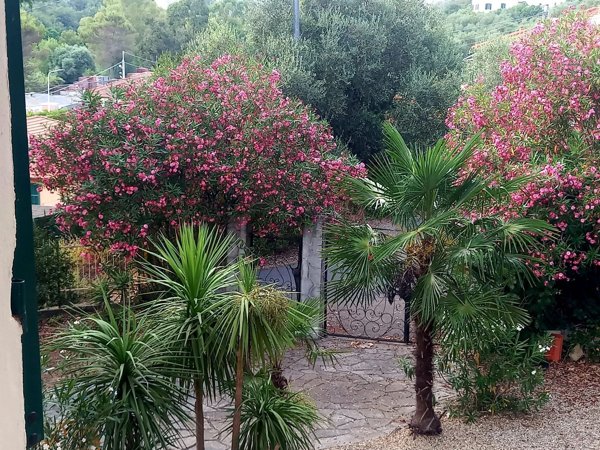 casa indipendente in affitto a Cervo