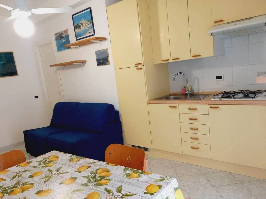 appartamento in affitto a Diano Marina