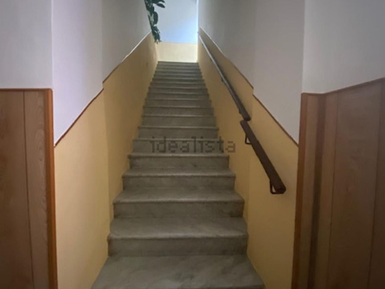 appartamento in affitto a Diano Marina