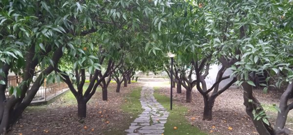 appartamento in affitto a Diano Marina