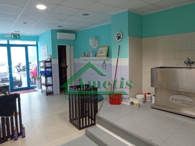 monolocale in affitto ad Imperia in zona Oneglia